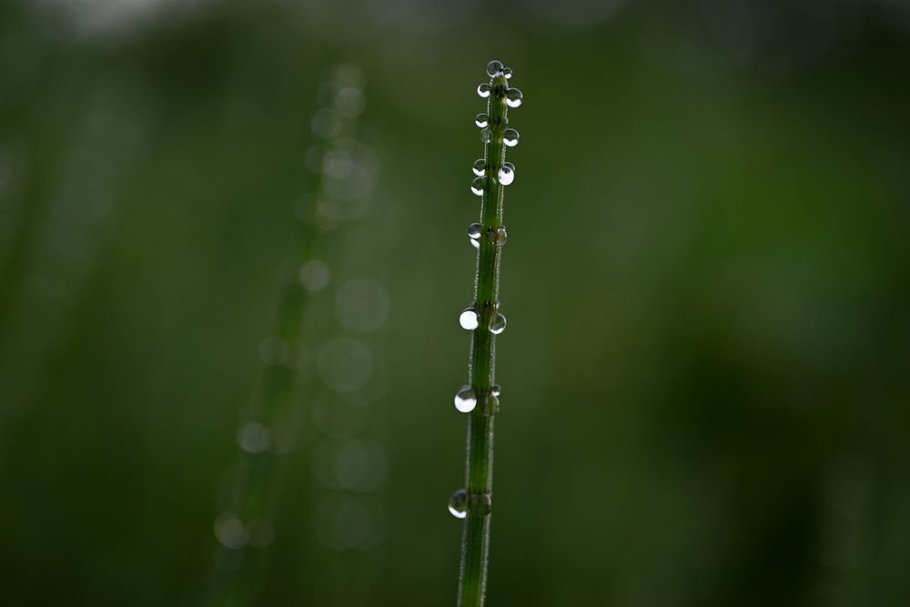 Photograph by Сергей Зубов
