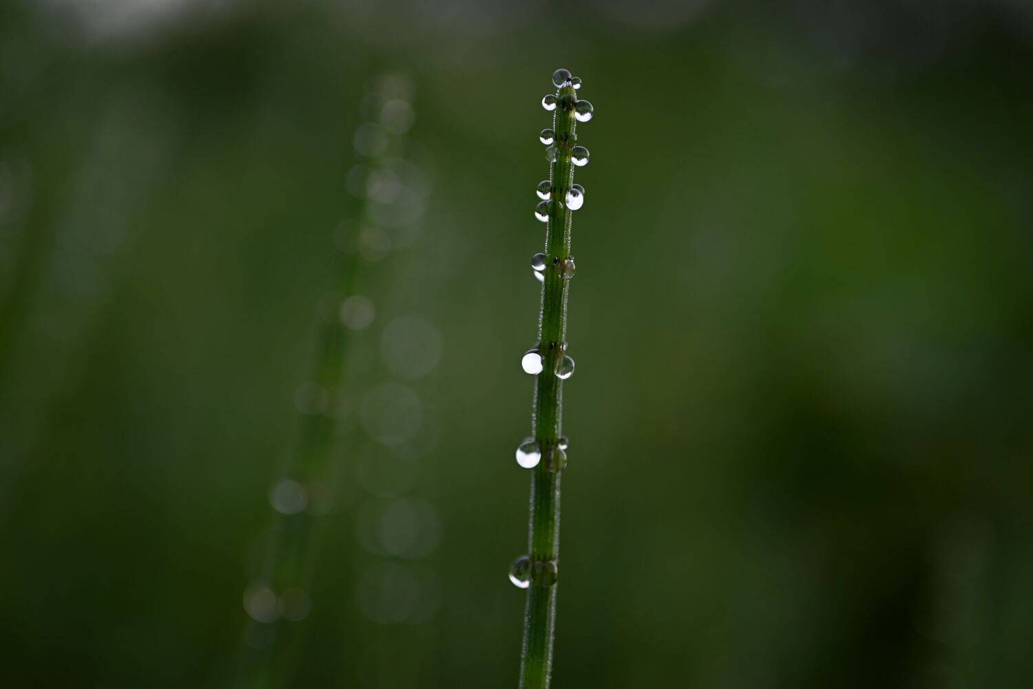 Photo #13573373
