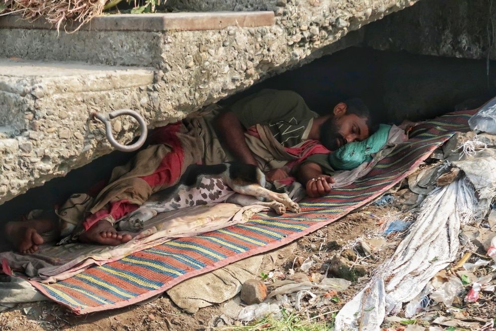 Under the Same Roof — Humanity Survives