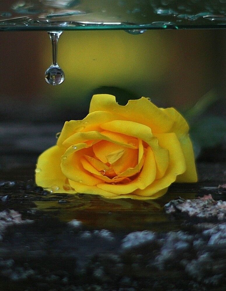 Photograph by Татьяна Александровна Терехова