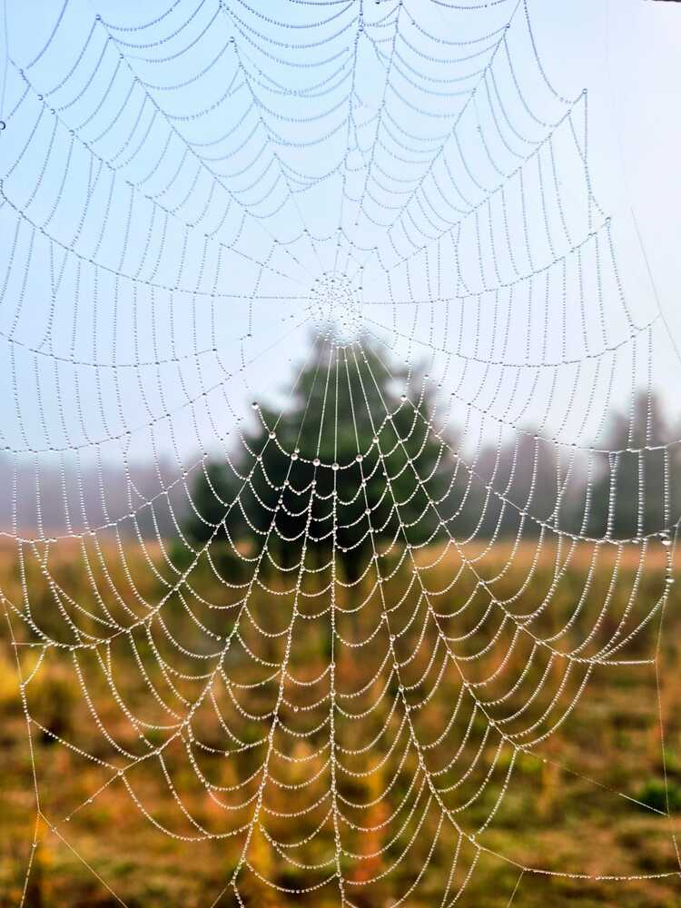 Photograph by Наталья Бруёк