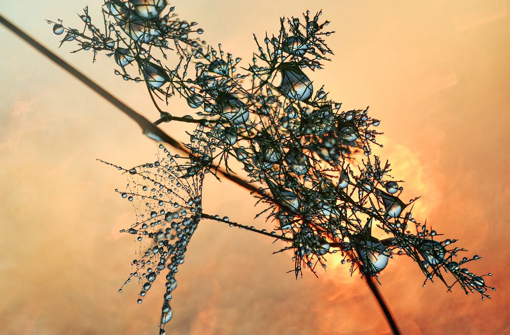 Photograph by Урасов Олег