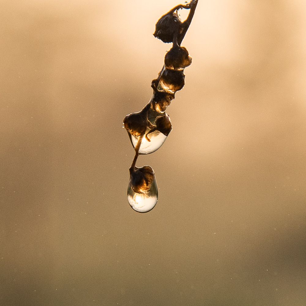 Photograph by Ирина Яук