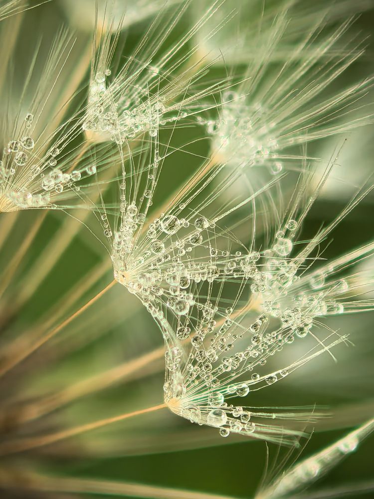 Photograph by Елена Шляхова
