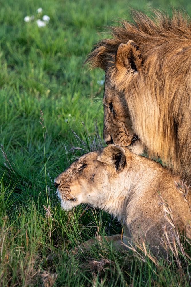 Tender moments