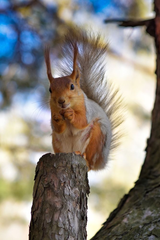 Photograph by Ирина Ященко