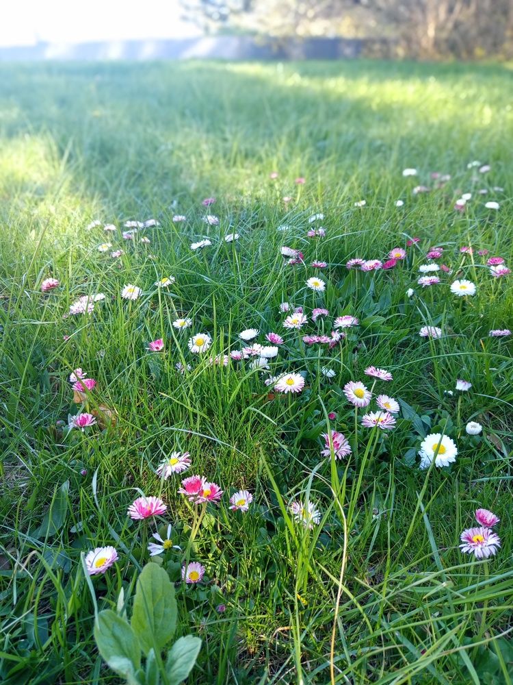Photograph by Irena TURČINSKAJA