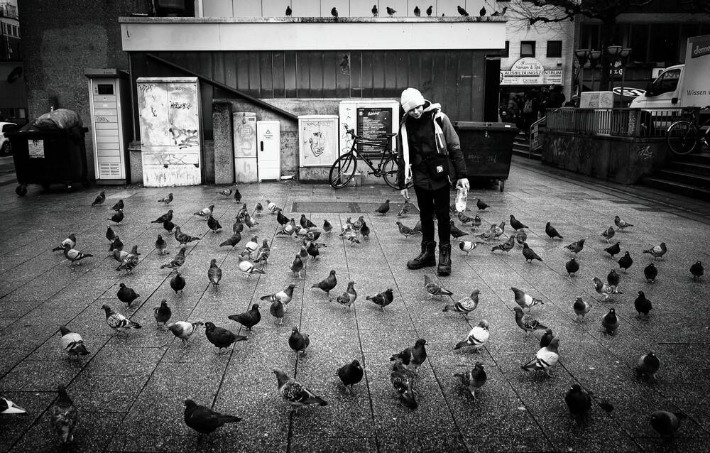 Фотография автора Mostafa Mohammad Beigi