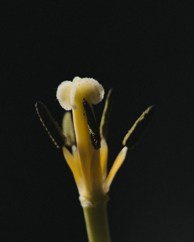 Photograph by Ксения Литвиненко