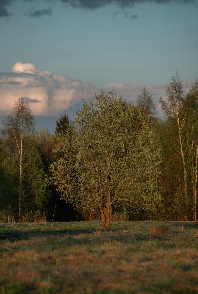Фотография автора Лариса Абрамова