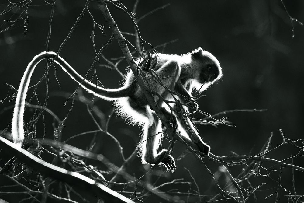 Photograph by Nikolay Slutskiy