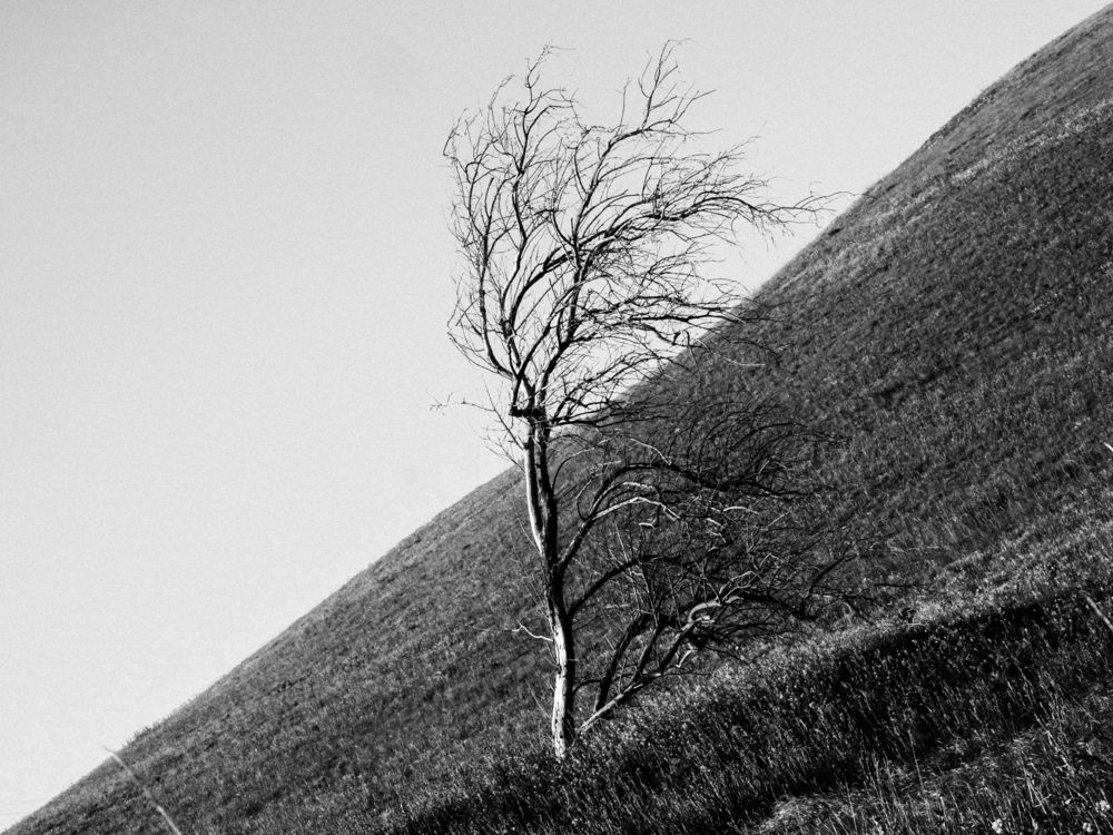 Photograph by Roman Sotnikov