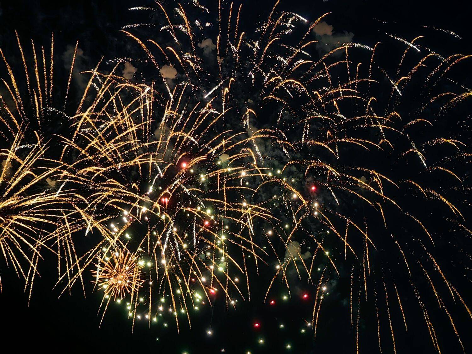 Photo #13574425