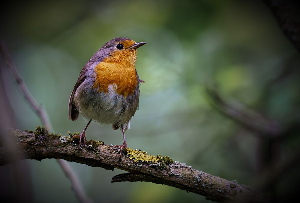 Photograph by Вадим Андреев