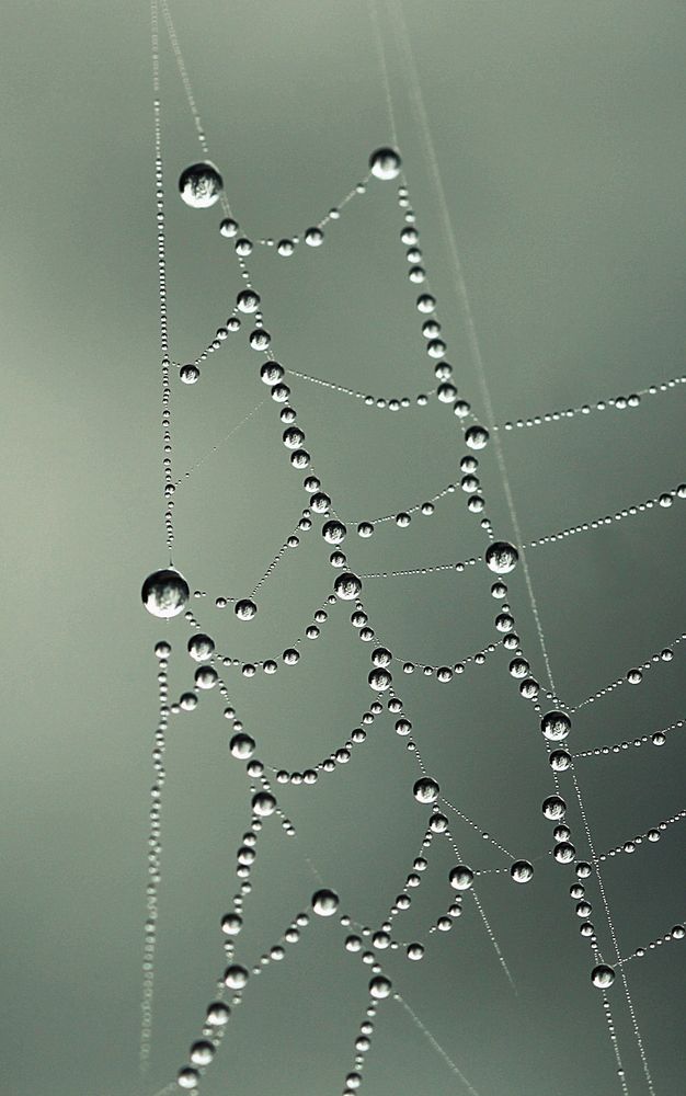 Photograph by Nina Lozej