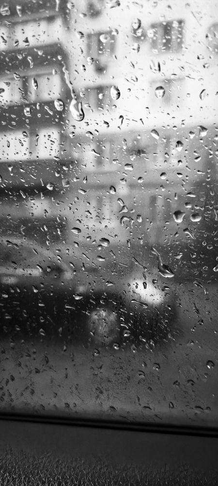 Photograph by Ирина Данилова