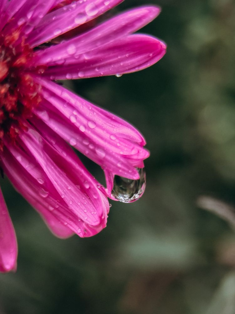 Photograph by Александра Кишикова