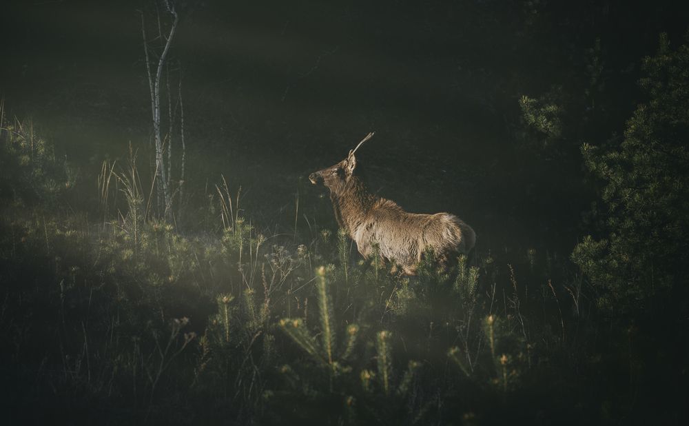 Photograph by Иван Гуторин