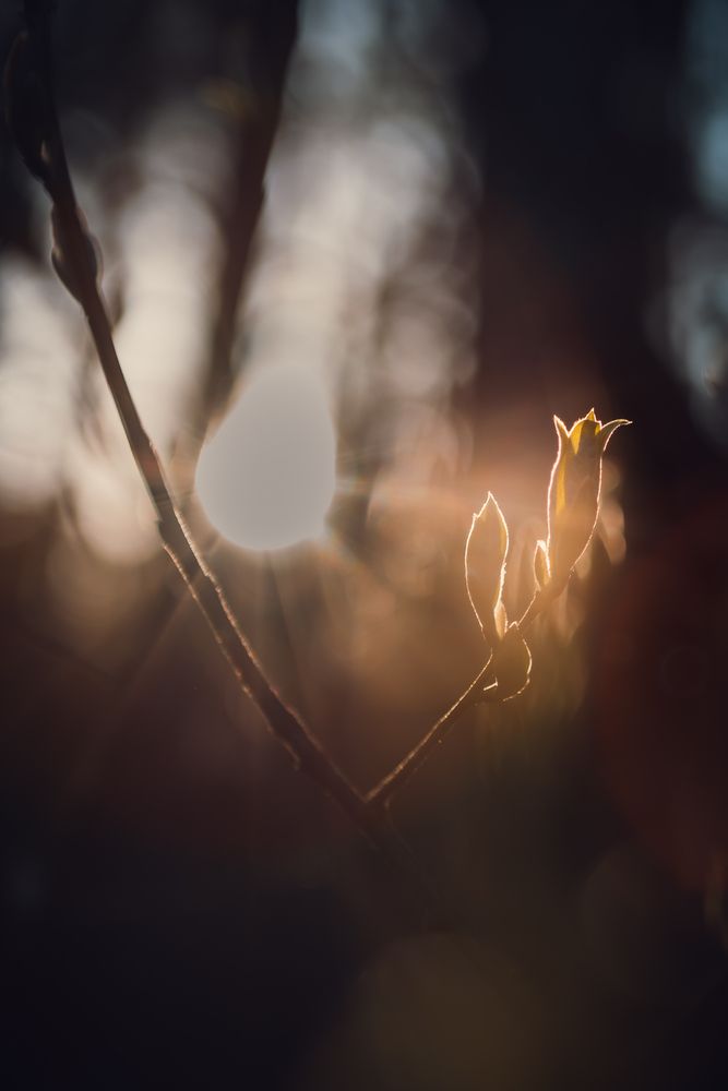 Photograph by Айдар Ибрагимов