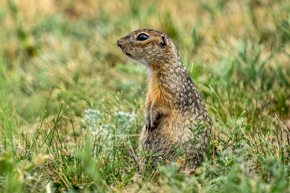 Photograph by Андрей Соколов