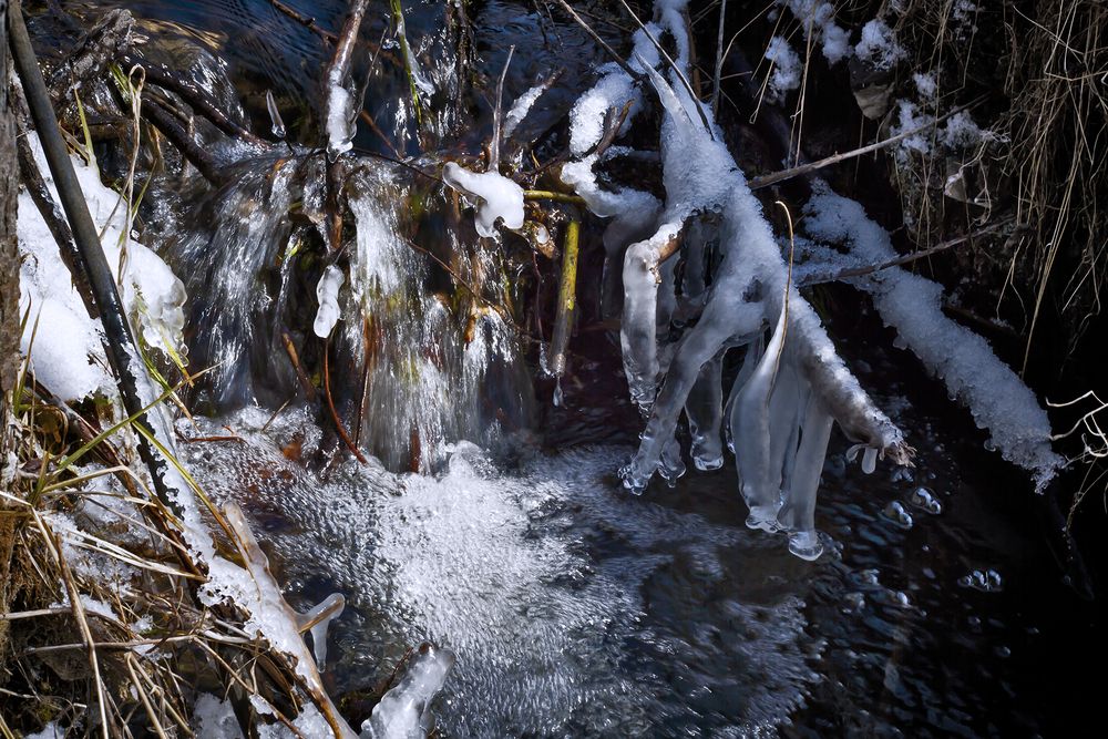 Photograph by Панюшкин Андрей