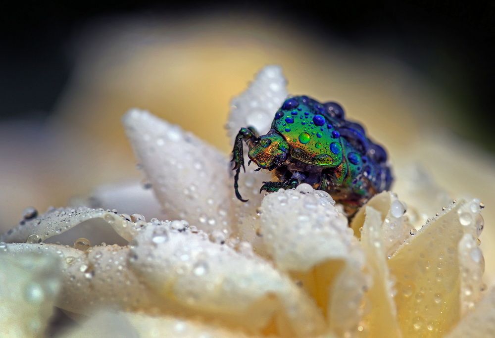 Photograph by Бибичков Михаил