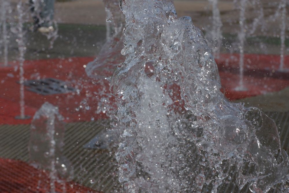 Photo #13575220