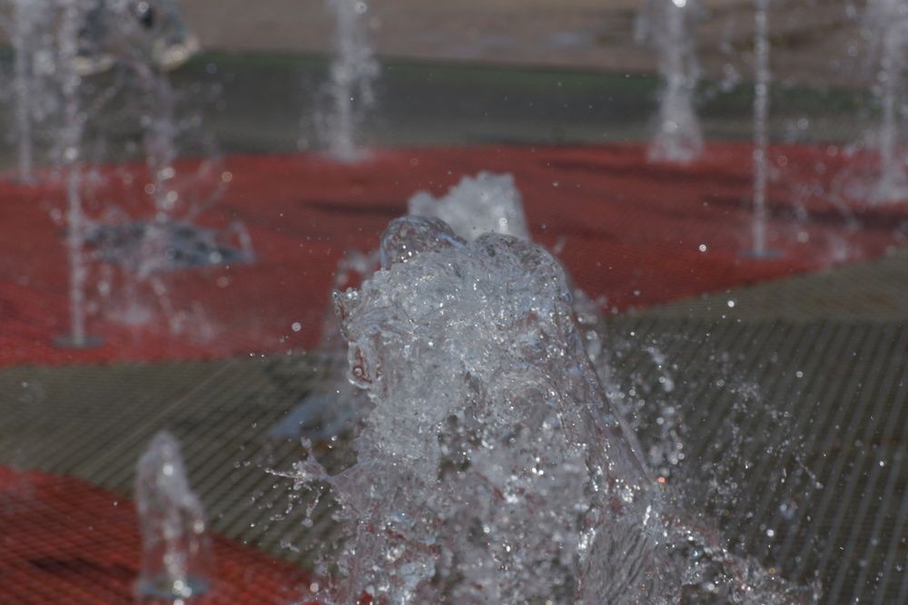 Photo #13575221
