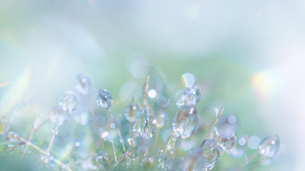 Photograph by Dyeyou