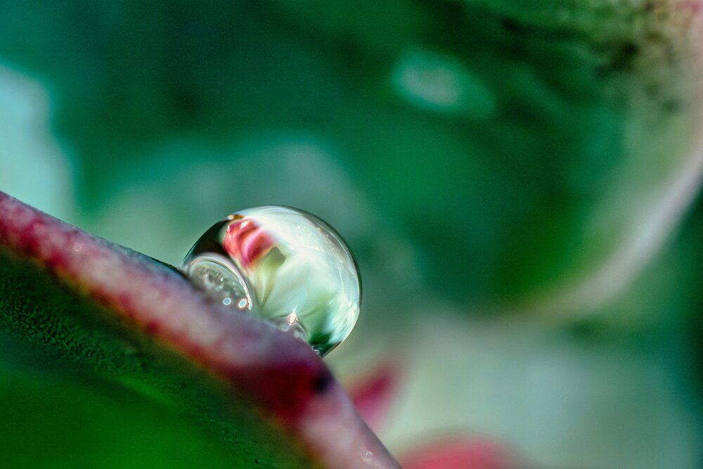 Photograph by Dyeyou