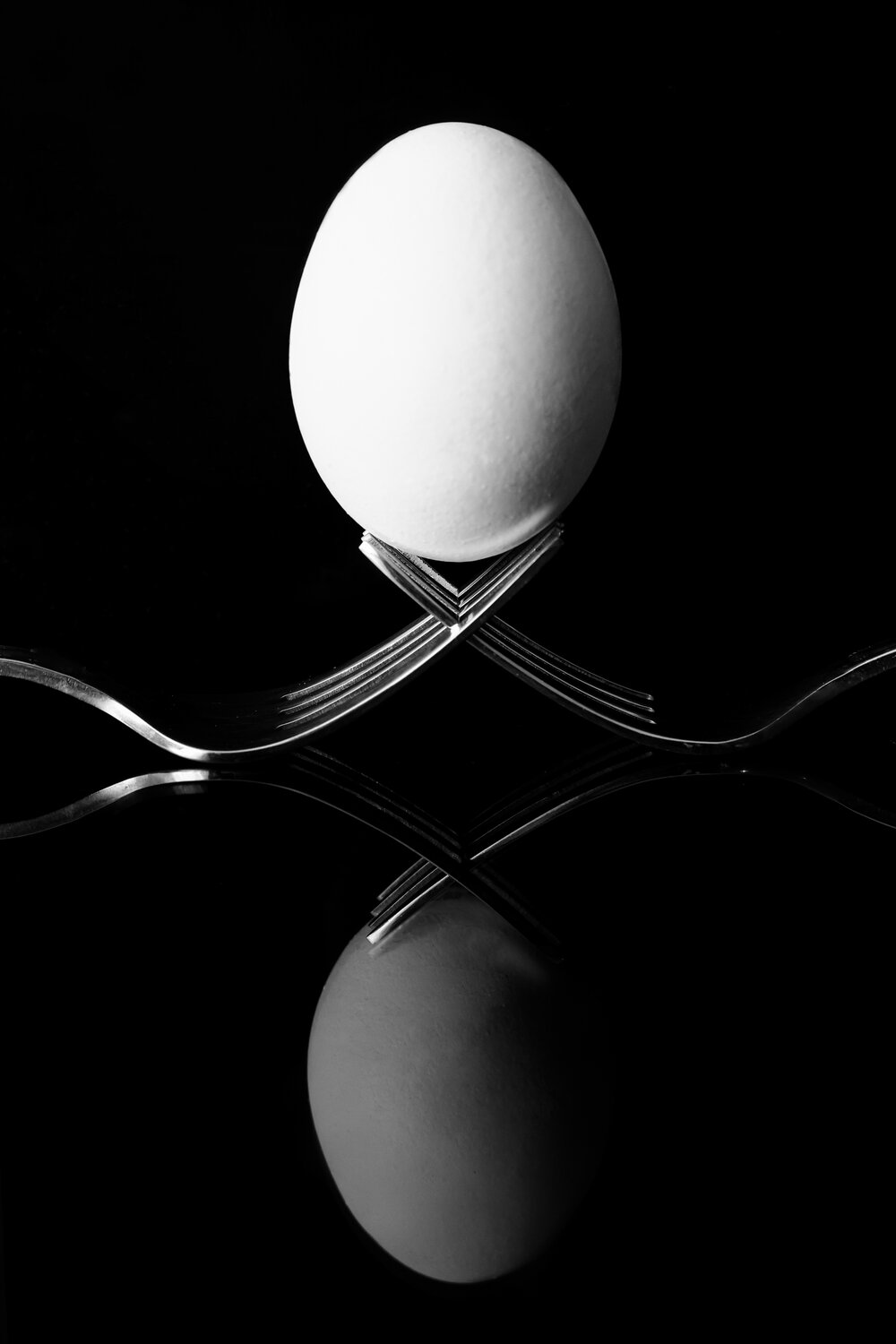 Photo #13575391