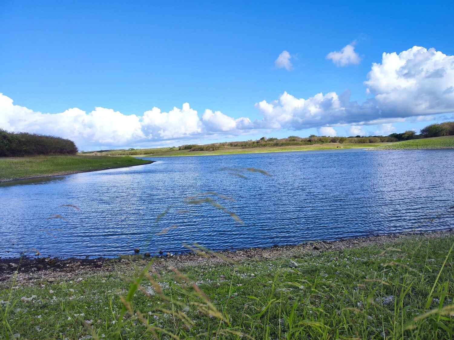 Photo #13575404