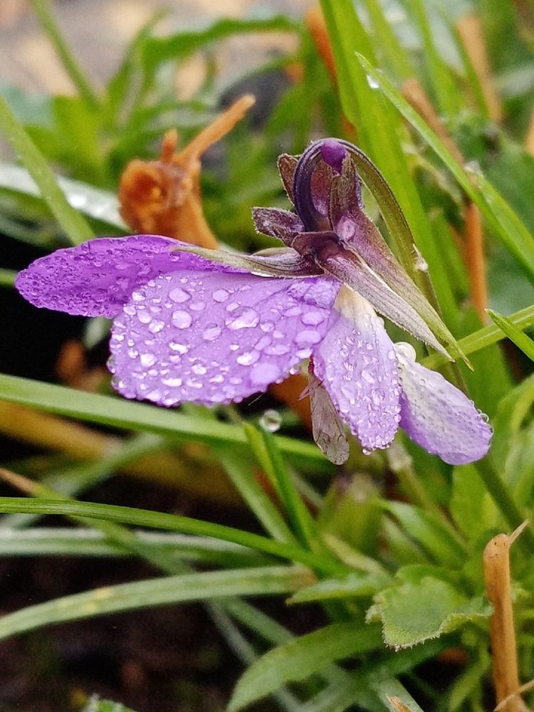 Photograph by Неля Кочурова