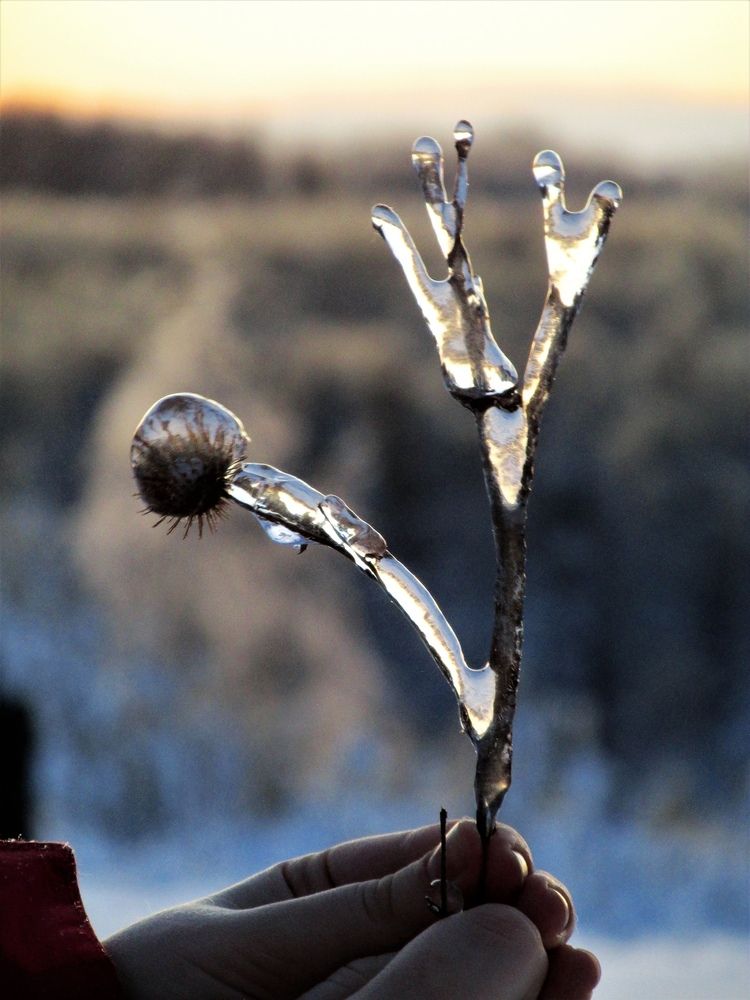 Photograph by Неля Кочурова