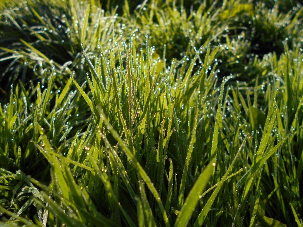 Photograph by Неля Кочурова
