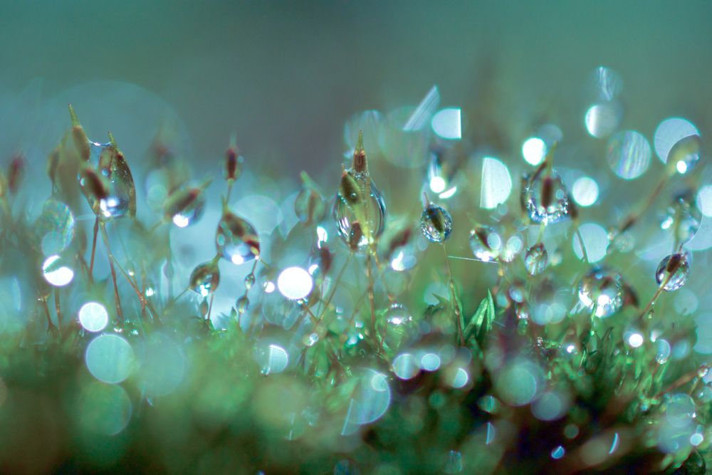 Photograph by Dyeyou