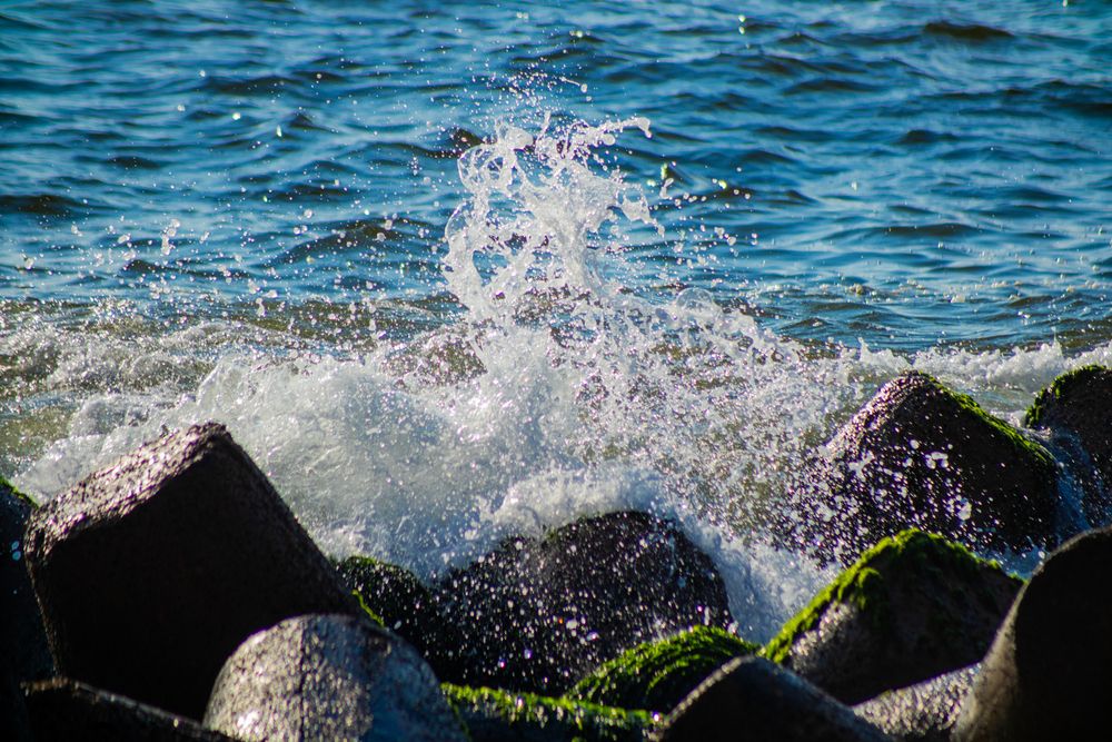 Photograph by Sarrah Yehia