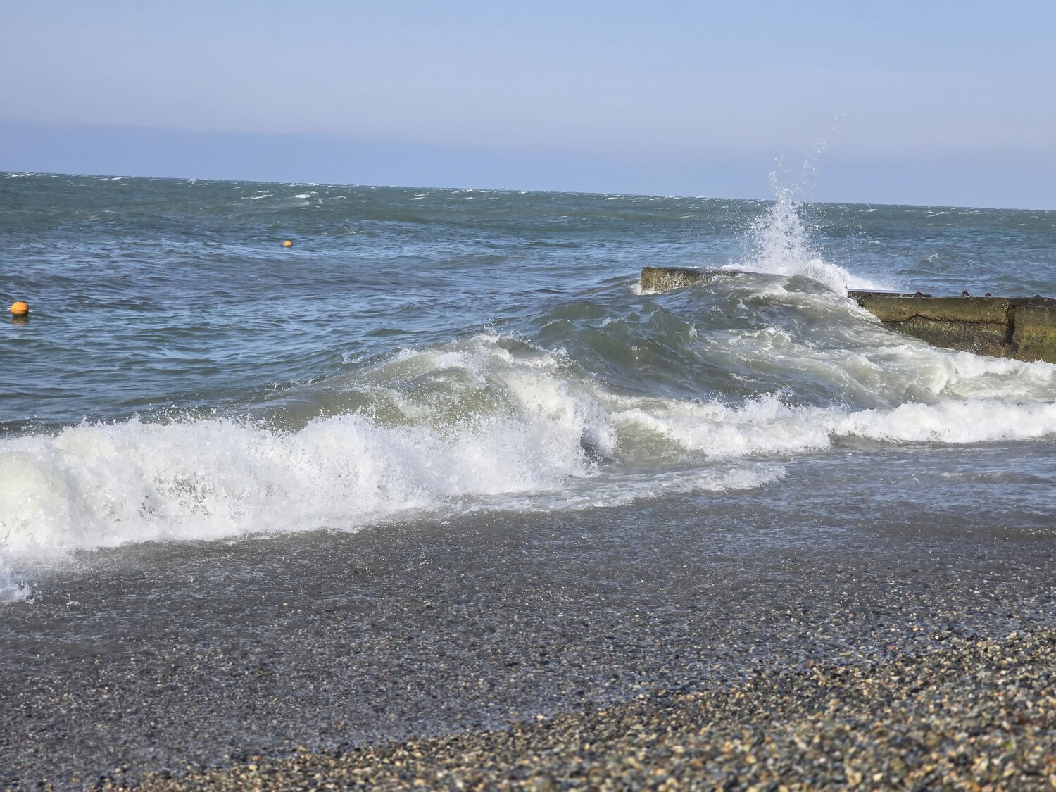 Photo #13575669