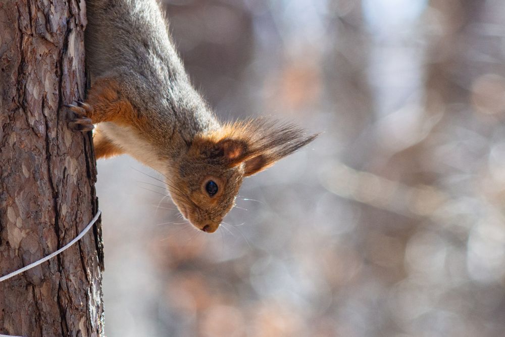 Photograph by Ильшат Абдуллин