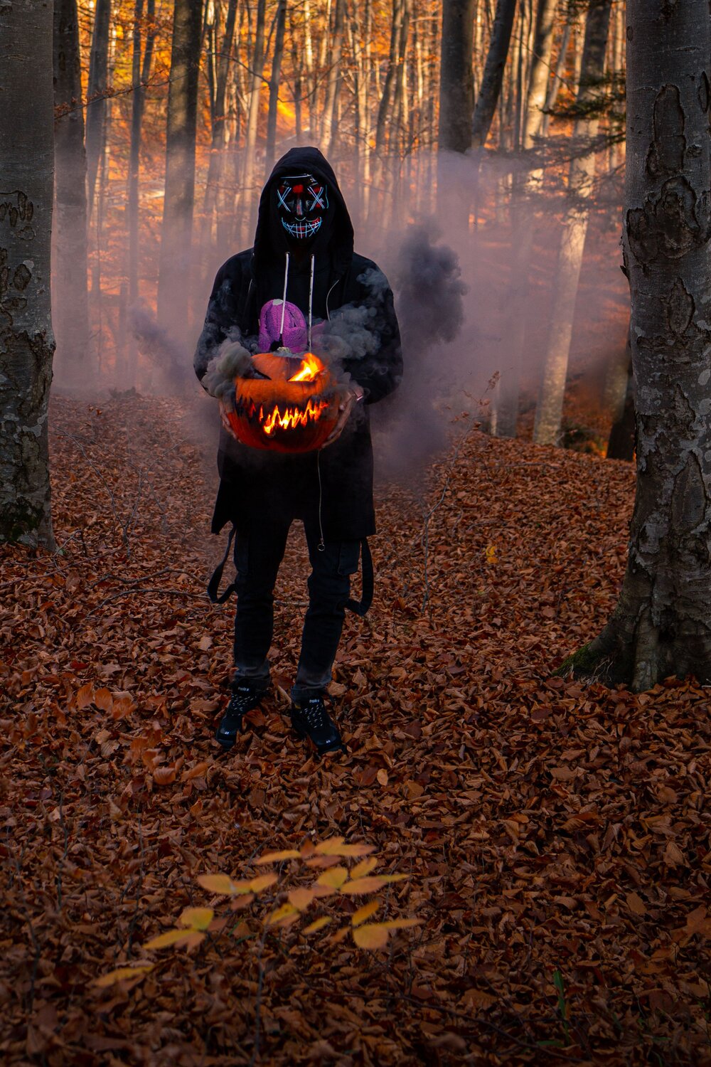 Photo #13575790