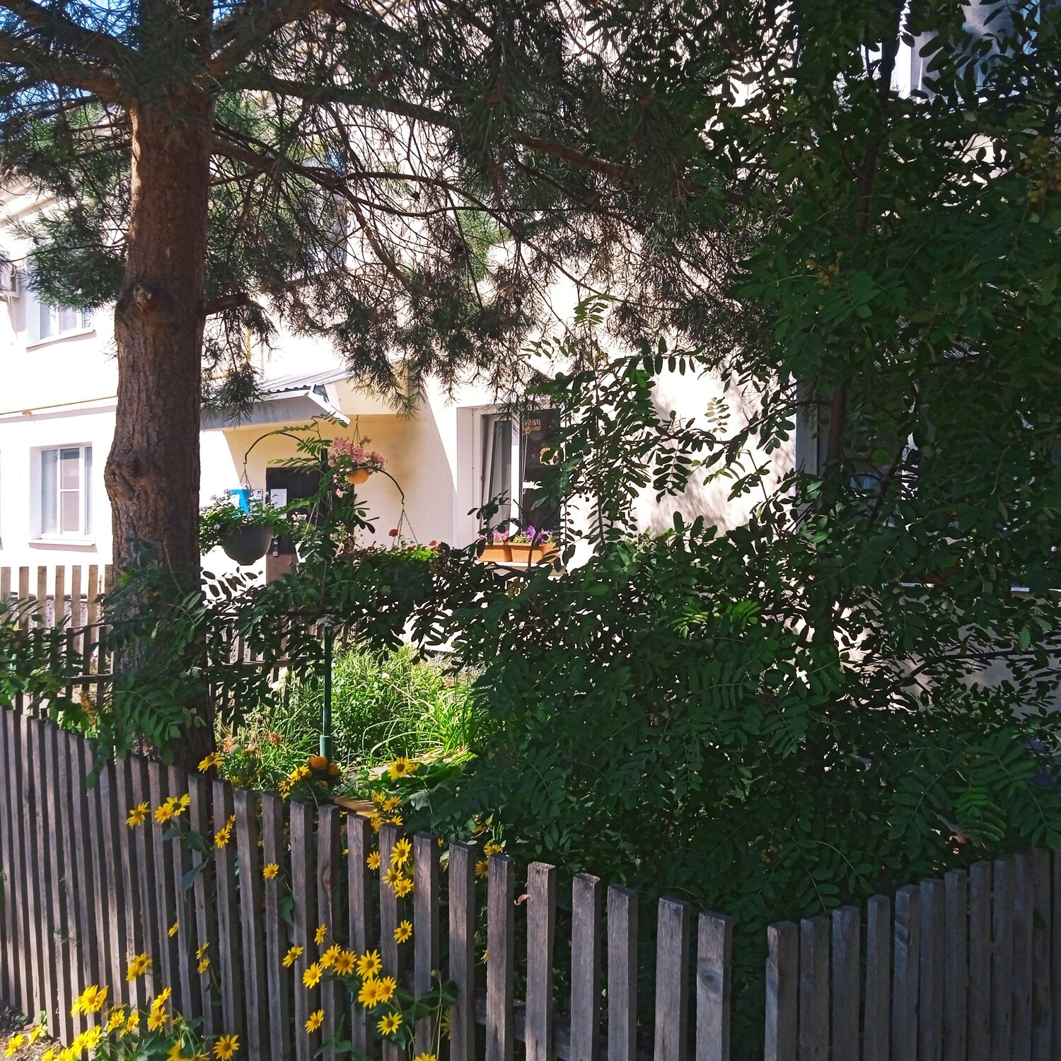 Photo #13575792
