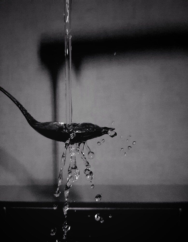 Photograph by Татьяна Якшук