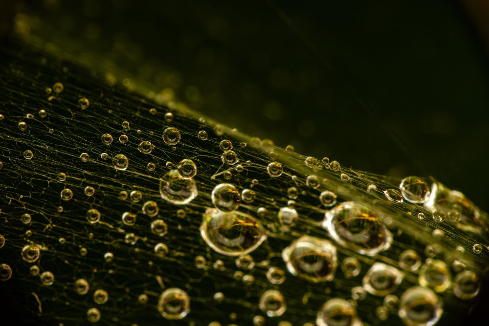 Photograph by Алексей Соколов