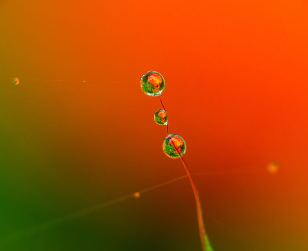 Photograph by Алексей Соколов