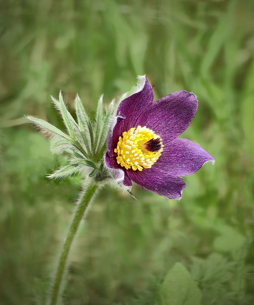 Photograph by Татьяна Мишустина