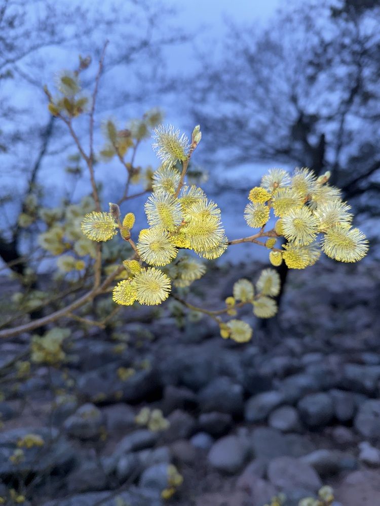 Photograph by Бондаренко Светлана