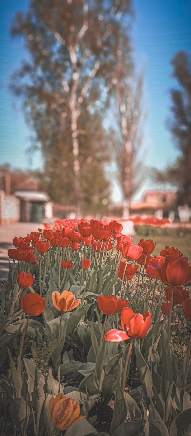 Photo #13576003