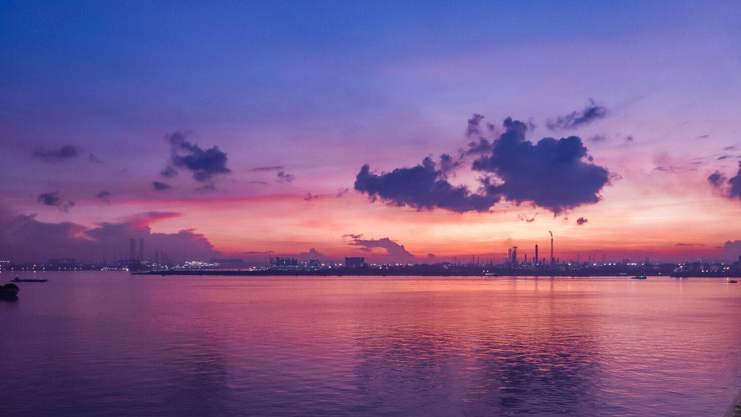 Painted by the morning