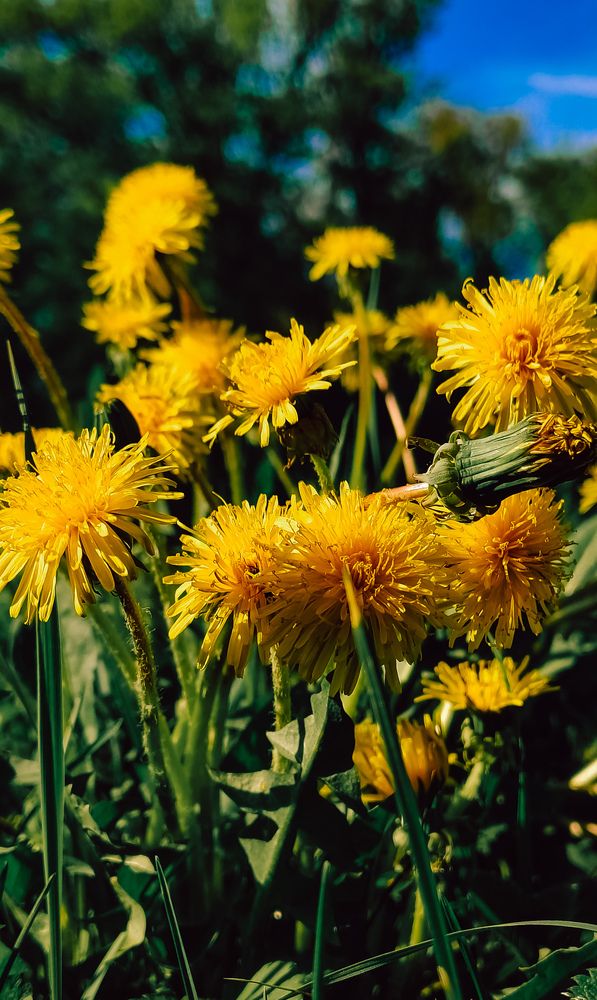 Photograph by Людмила Горячева