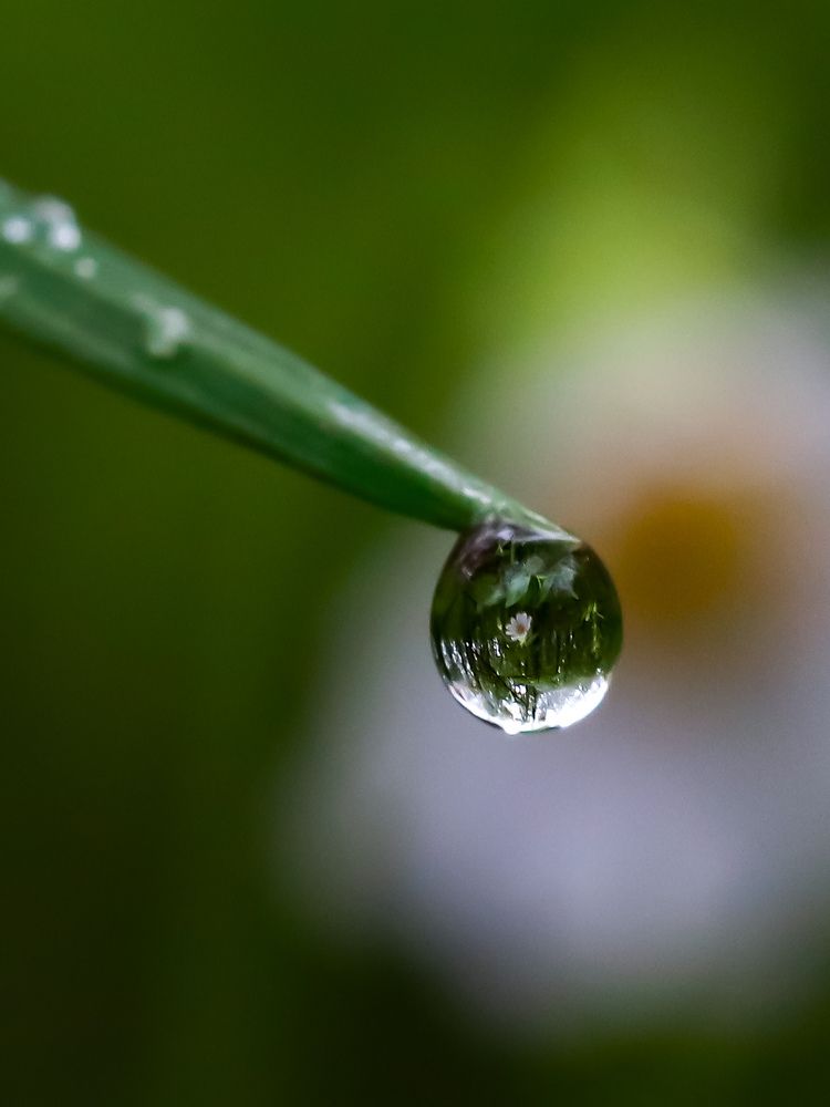 Photograph by Ирина Корабельникова